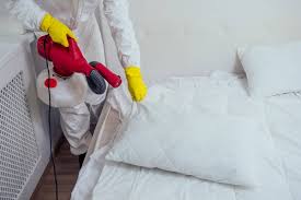 Discreet bed bug inspection of a hotel room mattress