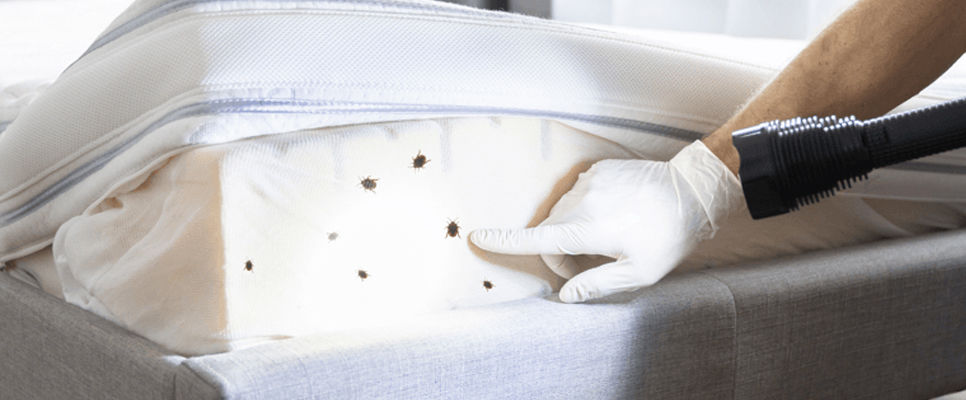 Residual treatment applied to a bed frame and headboard