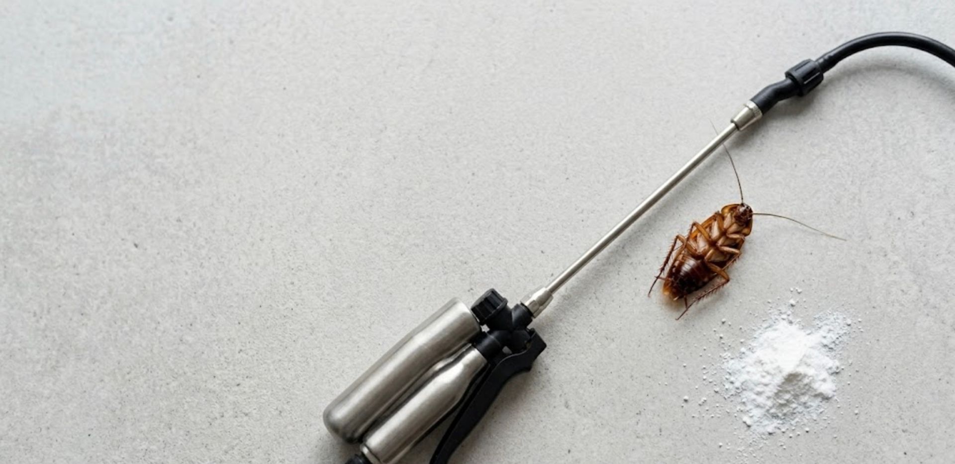 Technician applying cockroach gel bait into a kitchen crack