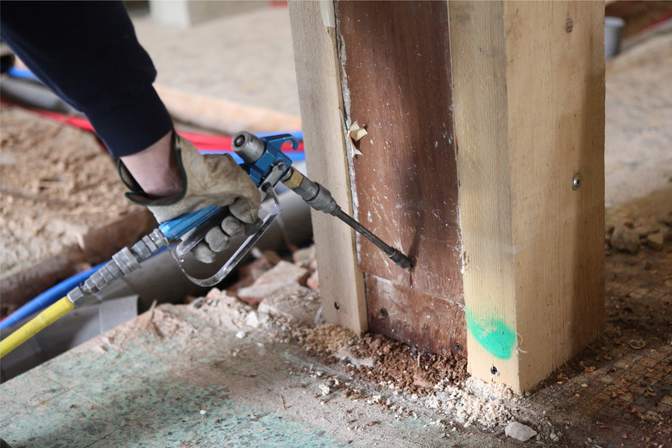 Technician inspecting sub-floor timber for termite damage
