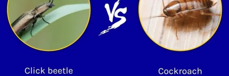 d7dbd303468da683e6c72209a0b52f98494520cf 1024x614 2 e1759404727264